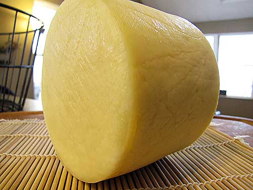 Gouda Hard Cheese making Mold Large For Press Cow Goat Milk Cheesemaking  Cow Goat Milk Cheese making kits and supplies Cheesecloth Cheese kitchen  Tools - Yahoo Shopping
